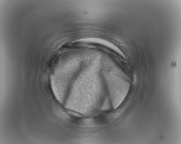 X0000091100325200709041328