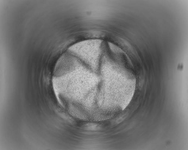 X0000091100326200709041328