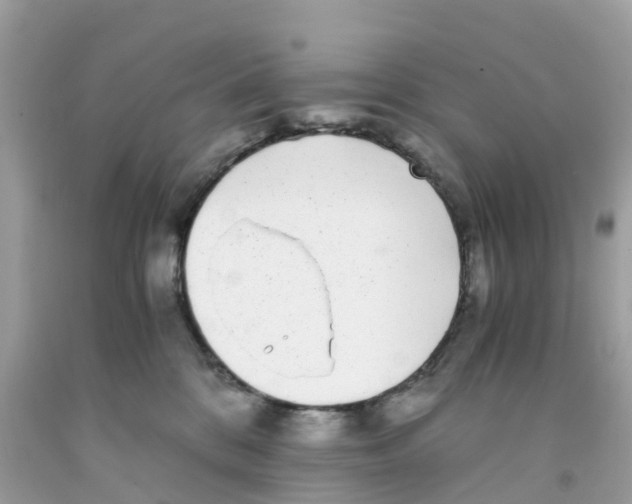 X0000091100328200709041328