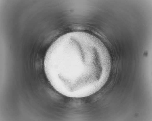 X0000091100330200709041328