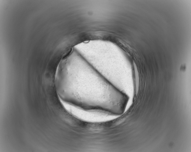 X0000091100331200709041328