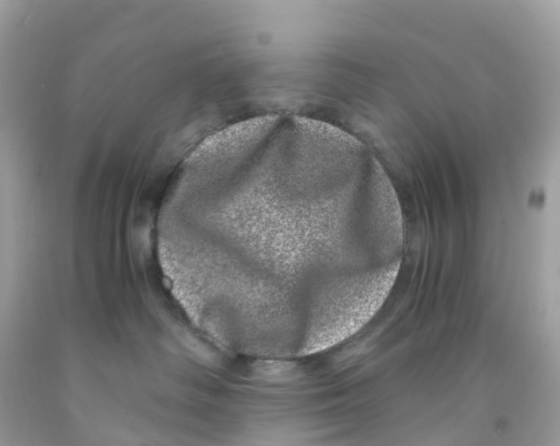 X0000091100334200709041328