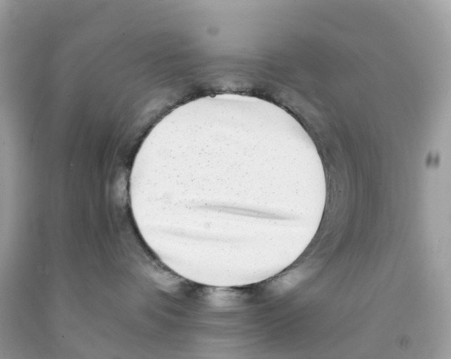 X0000091100336200709041328