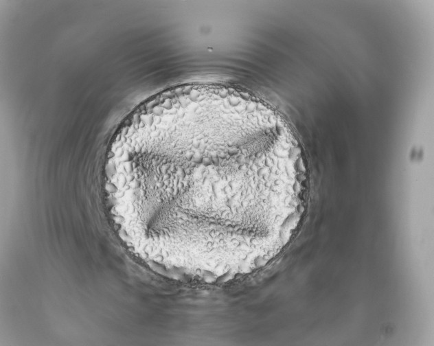 X0000091100337200709041328