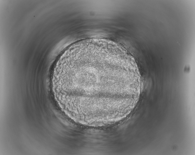 X0000091100339200709041328