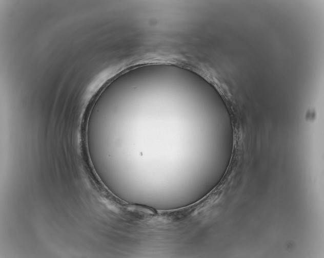 X0000091100340200709041328