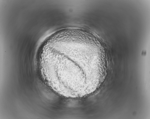 X0000091100343200709041328