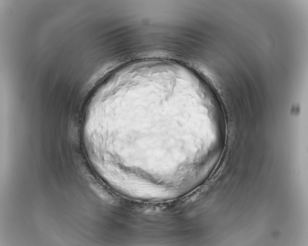 X0000091100345200709041328