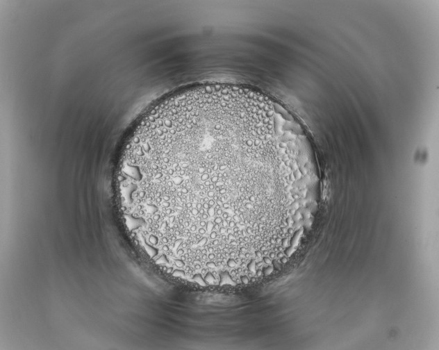 X0000091100347200709041328