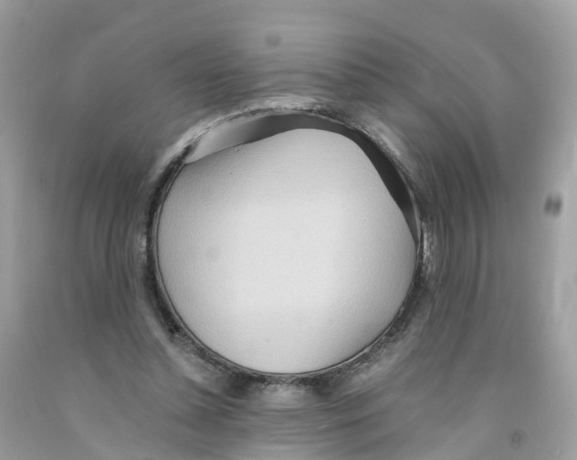 X0000091100348200709041328