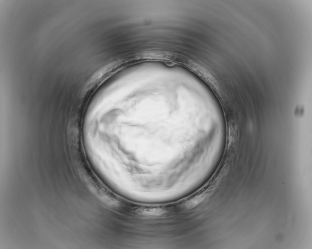 X0000091100349200709041328