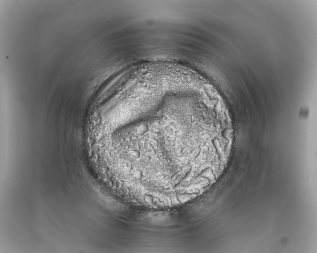 X0000091100353200709041328