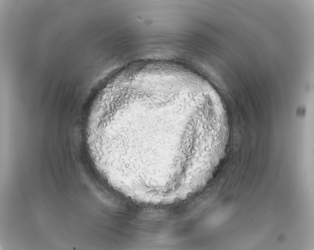 X0000091100354200709041328