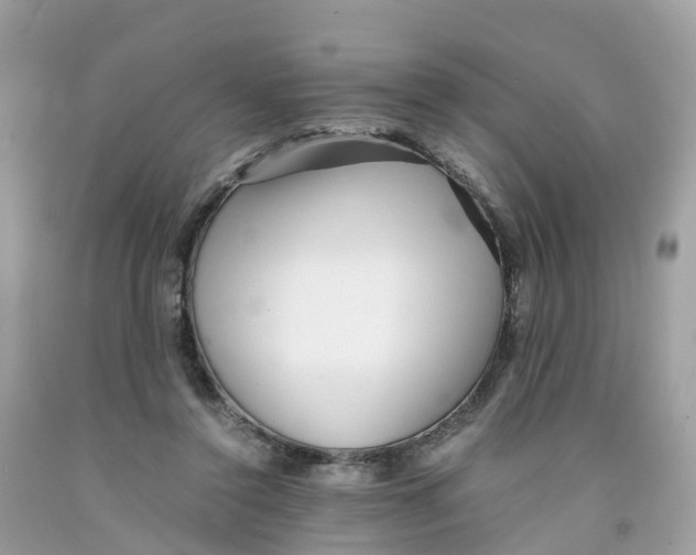 X0000091100356200709041328