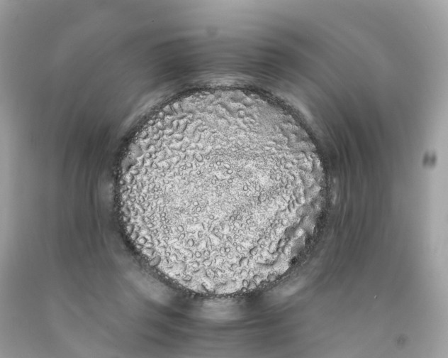 X0000091100357200709041328