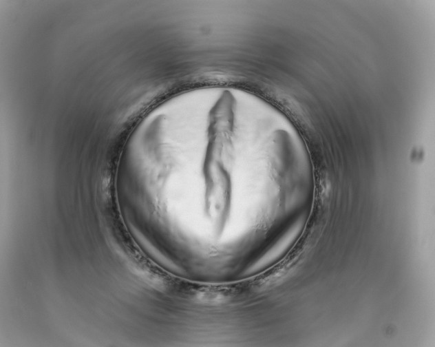 X0000091100358200709041328