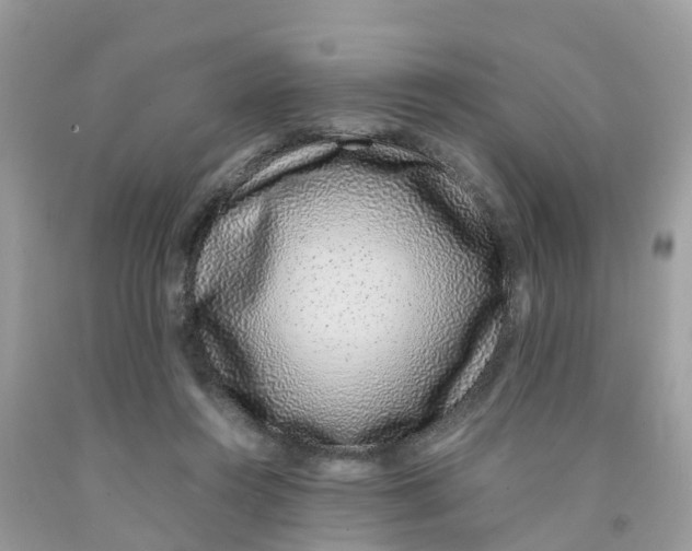 X0000091100360200709041328