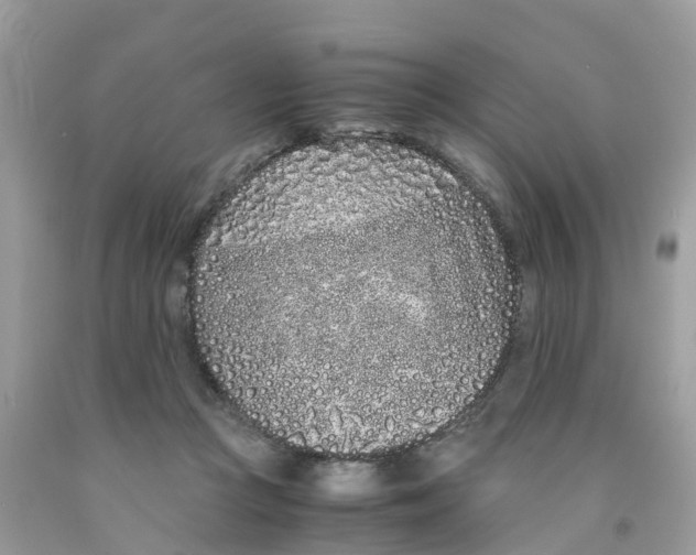 X0000091100361200709041328