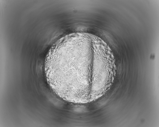 X0000091100363200709041328