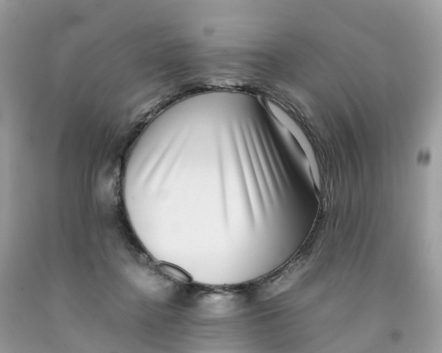 X0000091100364200709041328