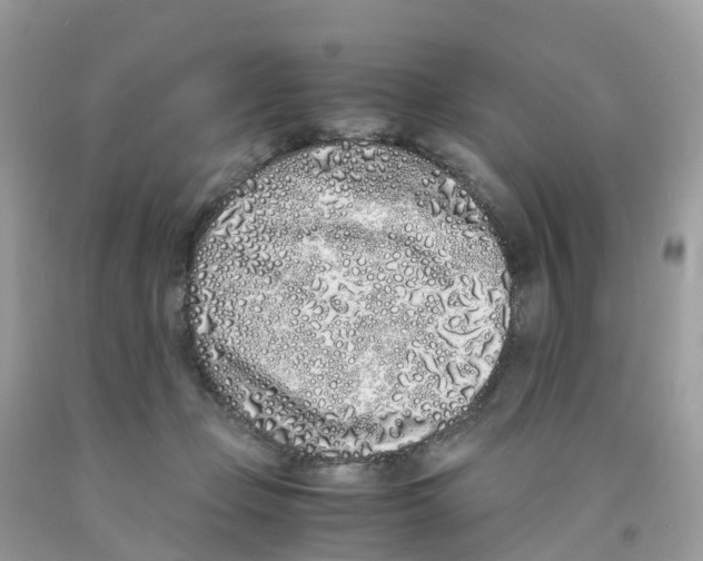 X0000091100365200709041328