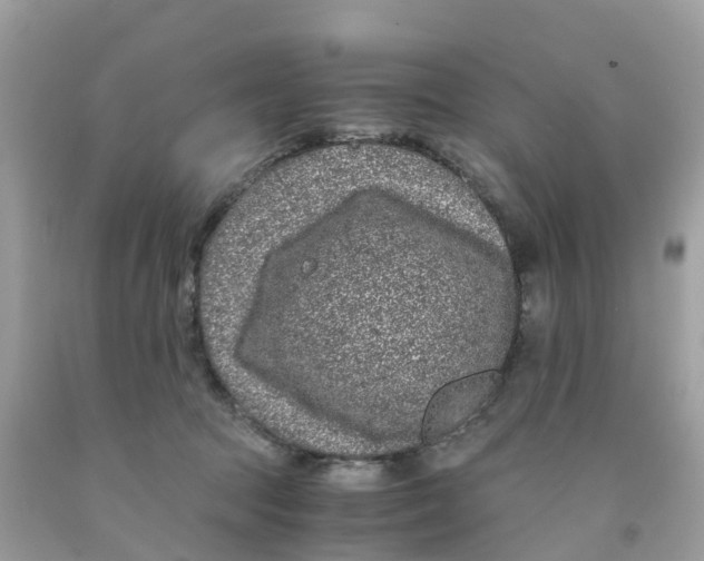 X0000091100369200709041328