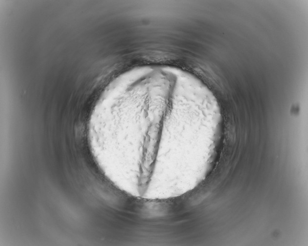 X0000091100371200709041328