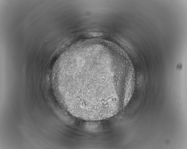 X0000091100373200709041328