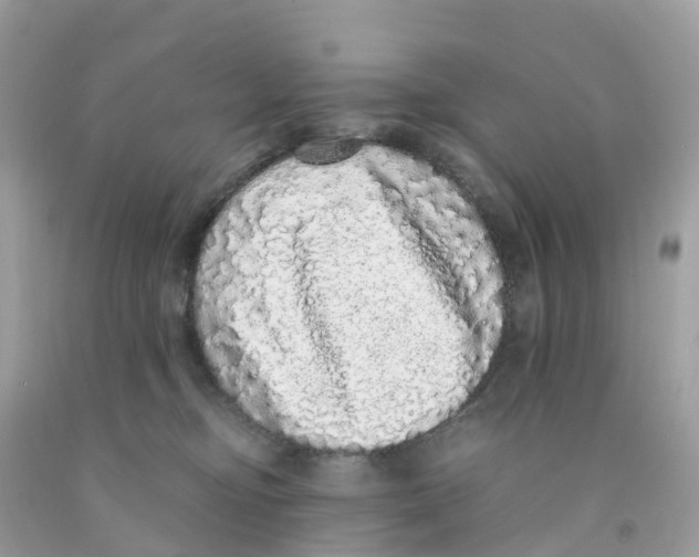 X0000091100374200709041328