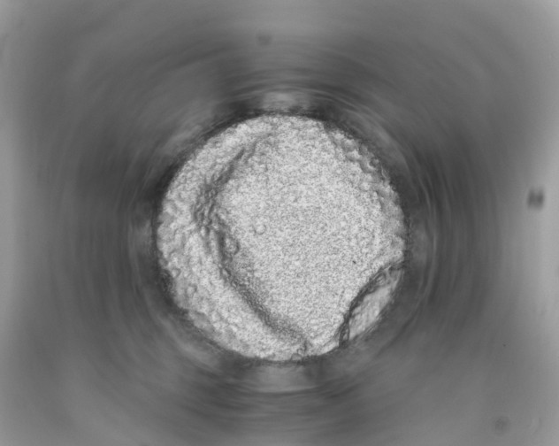 X0000091100375200709041328