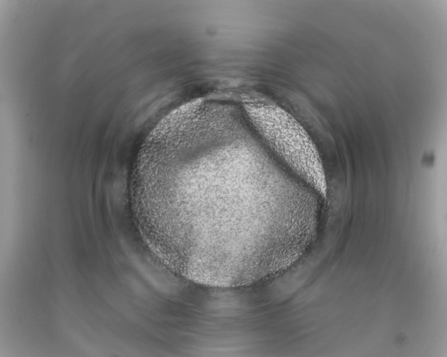 X0000091100376200709041328