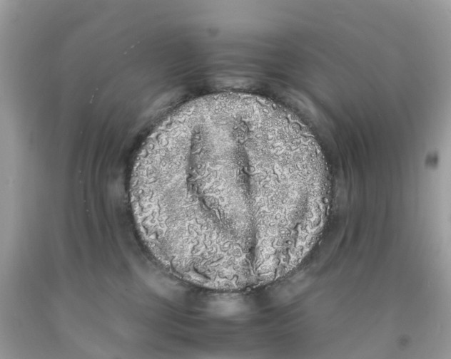 X0000091100377200709041328