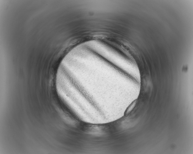 X0000091100379200709041328