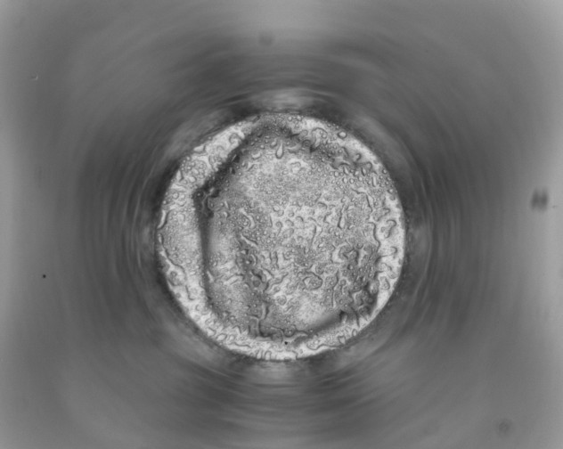 X0000091100381200709041328