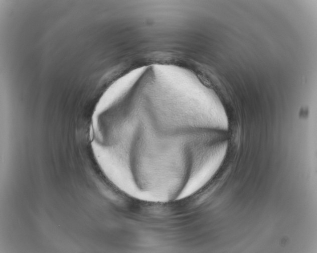 X0000091100383200709041328