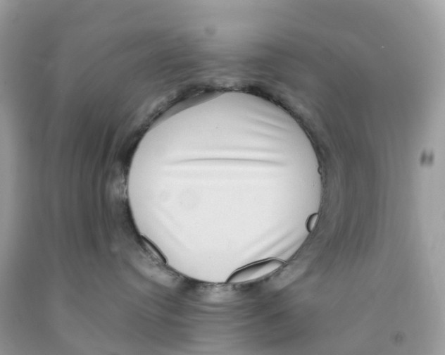 X0000091100384200709041328