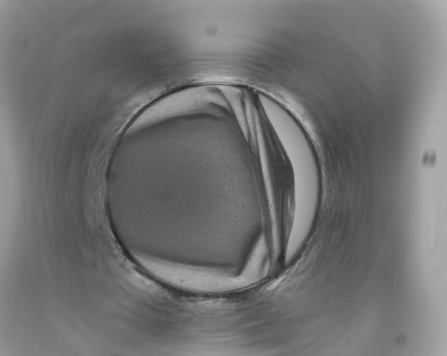 X0000091100385200709041328