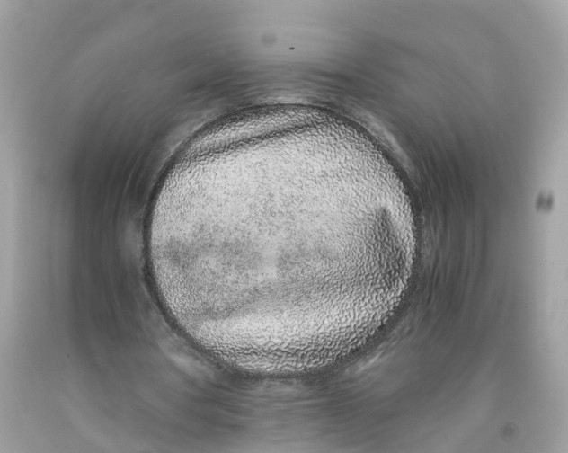 X0000091100386200709041328