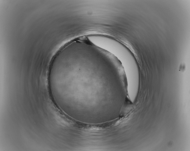 X0000091100387200709041328