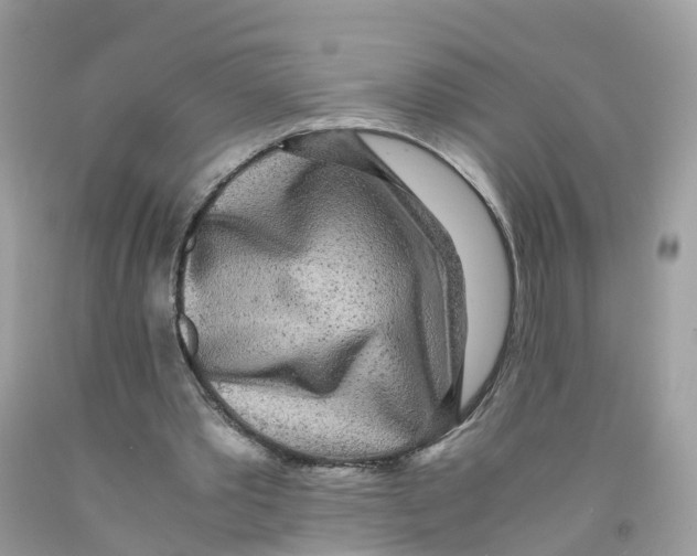 X0000091100389200709041328