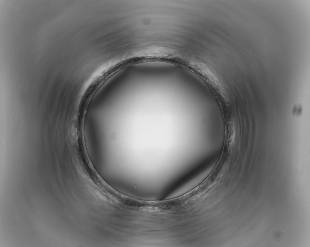 X0000091100392200709041328