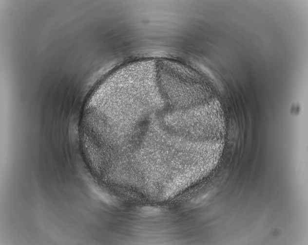 X0000091100394200709041328