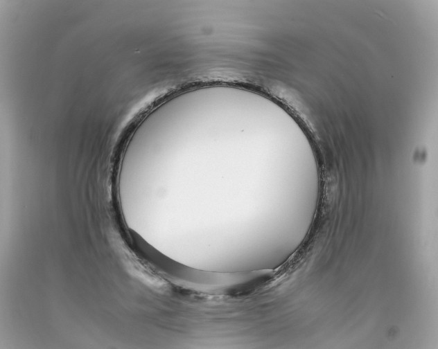 X0000091100395200709041328