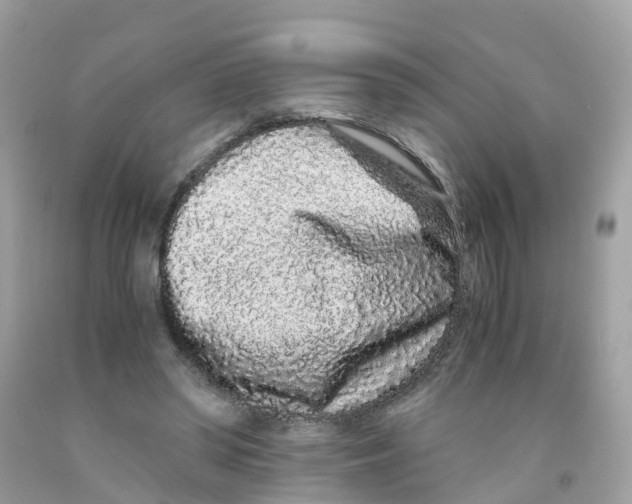 X0000091100398200709041328