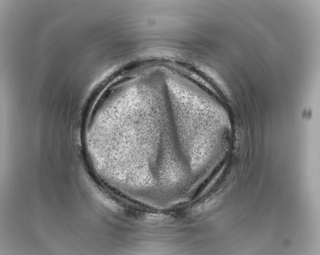 X0000091100399200709041328