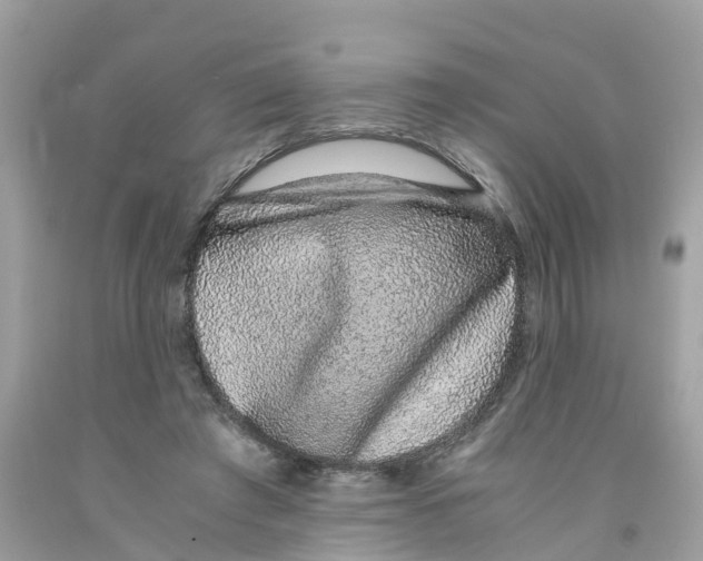 X0000091100401200709041328