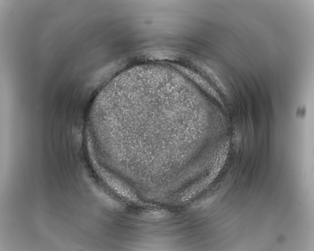 X0000091100402200709041328