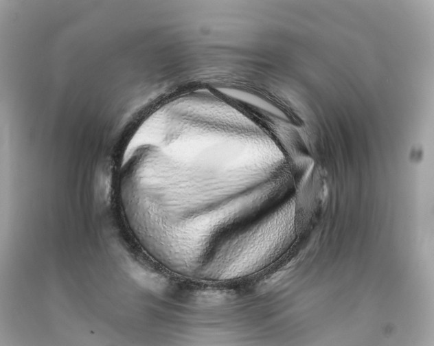 X0000091100404200709041327