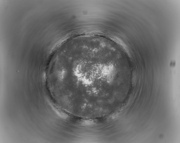 X0000091100405200709041327