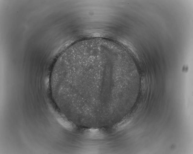 X0000091100406200709041327